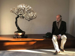 Tokonoma. Jardín Bonsai Luis Vallejo