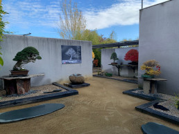 Jardín Bonsai Luis Vallejo