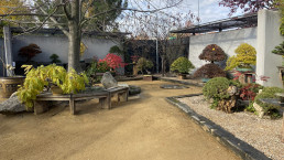 Jardín Bonsai Luis Vallejo