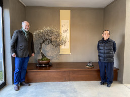 Tokonoma. Jardín Bonsai Luis Vallejo
