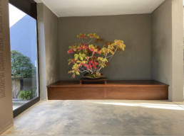 Tokonoma. Jardín Bonsai Luis Vallejo