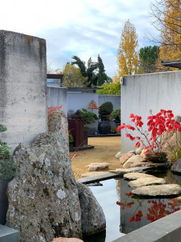 Jardín Bonsai Luis Vallejo