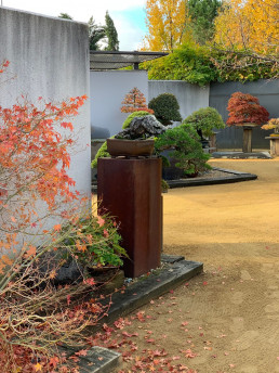 Jardín Bonsai Luis Vallejo
