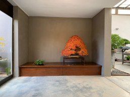Tokonoma. Jardín Bonsai Luis Vallejo