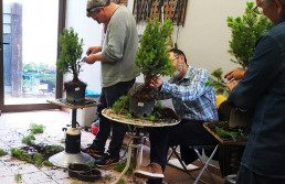 Cursos y talleres en el Jardin bonsai Luis Vallejo