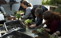 Cursos y talleres en el Jardin bonsai Luis Vallejo